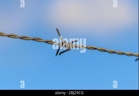 Nahaufnahme von Stacheldraht auf einem Feld mit einem weichen Bokeh im Hintergrund Stockfoto