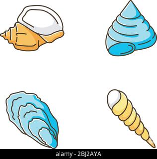Verschiedene Seashells RGB-Farbsymbole gesetzt Stock Vektor