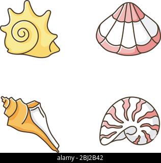 Verschiedene Muscheln RGB-Farbe Symbole gesetzt Stock Vektor
