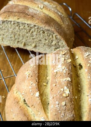 Frisch gebackenes Haferbrot mit Weißbrotmehl und Hafermehl auf einem Drahtscheiben mit Haferflocken überzogen Stockfoto