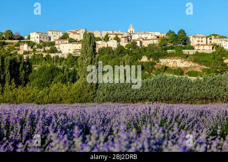 Abendsonne auf dem mittelalterlichen Dorf Sault über einem Lavendelfeld, Provence-Alpes-Côte d'Azur, Frankreich Stockfoto