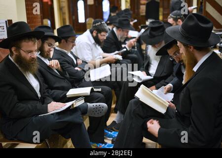 Eine Gruppe orthodoxer jüdischer junger Männer las spezielle Tisha B'AV Gebete in einer Synagoge in Brooklyn, New York City. Sie sitzen auf den Bänken der Trauernden. Stockfoto