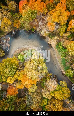 Blick über den Kopf auf Herbstfarben auf dem Clinton River in Sterling Heights, Michigan, USA Stockfoto