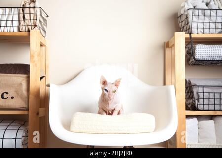 Bettwäsche, Bettbezüge und Handtücher werden vertikal gefaltet. Körbe aus Metall und Stoff schwarz. Weiße Sphinx-Katze. Das Konzept der Hausarbeit und Lagerung. Stockfoto