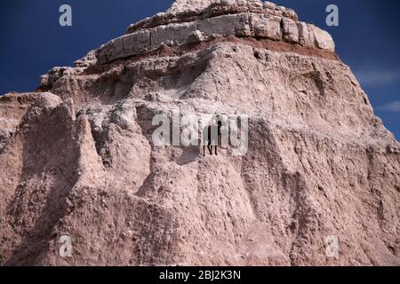 Blick auf Badlands Panorama mit Bighorn Schafe Stockfoto