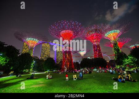 Beleuchtete super Olivenhainen an der Bucht Vorgärten auch wie die Gärten an den Bay bekannt bei Nacht, Bay Front, Marina Bay, Singapore, PRADEEP SUBRAMANIAN Stockfoto