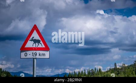 Norwegen, im Sommer, Elchstraße Paniel Stockfoto