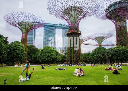 Beleuchtete super Olivenhainen an der Bucht Vorgärten auch wie die Gärten an den Bay bekannt bei Nacht, Bay Front, Marina Bay, Singapore, PRADEEP SUBRAMANIAN Stockfoto