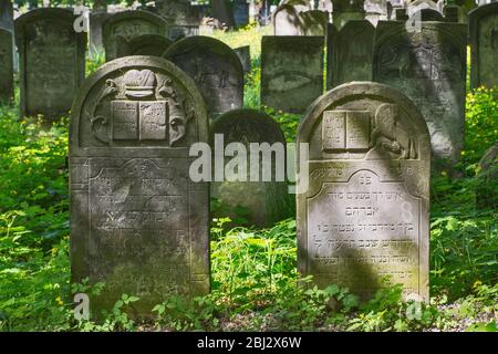 Grabsteine auf dem Alten jüdischen Friedhof in Piotrkow Trybunalski, Westmazowien, Polen Stockfoto