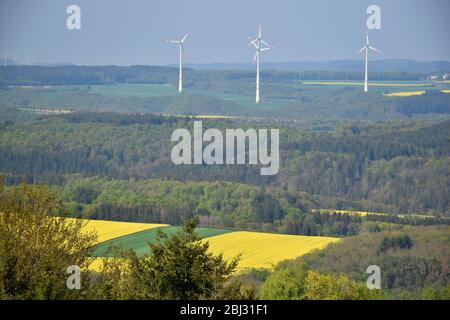 Windturbinen in einer Landschaft mit grünen und gelben Feldern und Wald in der Eifel Stockfoto