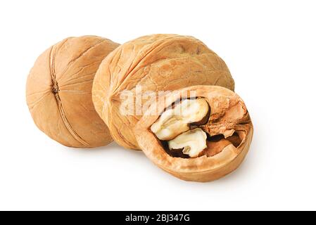 Isoliertes Walnuss. Zwei ganze Walnüsse und eine Hälfte auf weißem Hintergrund Nahaufnahme Stockfoto