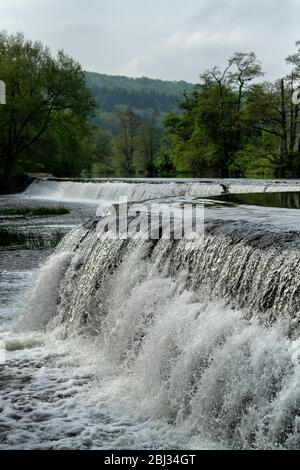 Warleigh Weir am Fluss Avon in Somerset, in der Nähe von Bath im Frühling. Stockfoto