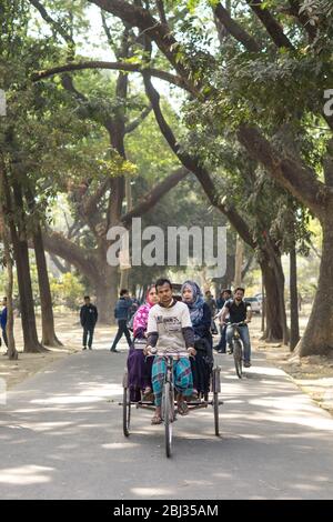 Dhaka / Bangladesch - 14. Januar 2019: Rikscha transportiert Passagiere in einer schönen Straße, umgeben von grünen Bäumen Stockfoto