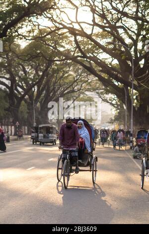 Dhaka / Bangladesch - 14. Januar 2019: Rikscha transportiert Passagiere in einer schönen Straße, umgeben von grünen Bäumen Stockfoto