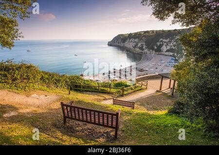Blick auf das Bier in Devon. Stockfoto