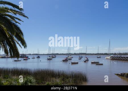 Boote im Hafen der Stadt Colonia del Sacramento, Uruguay, am Rio de la Plata verankert. Colonia del Sacramento ist eine der ältesten Städte Stockfoto