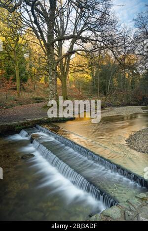 Blackpool Brook Wehr im Wenchford Picknickbereich im Forest of Dean in Gloucestershire. Stockfoto