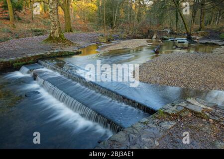 Blackpool Brook Wehr im Wenchford Picknickbereich im Forest of Dean in Gloucestershire. Stockfoto