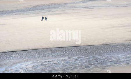 Ein Panoramablick auf Hundewanderer am preisgekrönten Crantock Beach in Newquay in Cornwall. Stockfoto