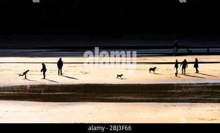 Ein Panoramablick auf die Menschen, die von der späten Abendsonne am Porth Beach in Newquay in Cornwall silhouettiert werden. Stockfoto