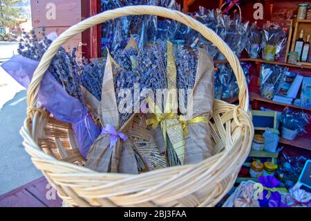 Ein Weidenkorb mit trockenen lila Lavendelblüten, eingewickelt in alte Zeitungen, ein Bouquet von getrockneten Lavendel als aromatisches Souvenir in einem Geschäft verkauft Stockfoto