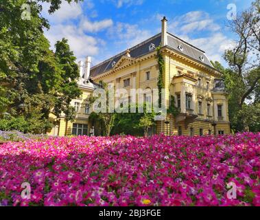 Landschaft mit gelben barocken Haus umgeben von grünen Bäumen und einem Feld von rosa blühenden Blumen in der Mitte von Sofia, Bulgarien Stockfoto