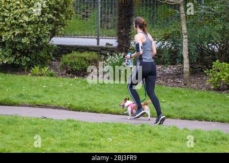 Ein weiblicher Jogger, der mit ihrem Jack Russell Hund im Trenance Park in Newquay in Cornwall läuft. Stockfoto