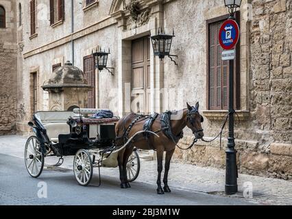 Pferdekutsche erwartet alte Stadttourkunden in Palma de Mallorca auf den Balearen von Spanien. Stockfoto