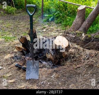 Gartenspaten oder Schaufel mit ein paar Schuhen neben einem ausgebrannten Baumstumpf. Stockfoto