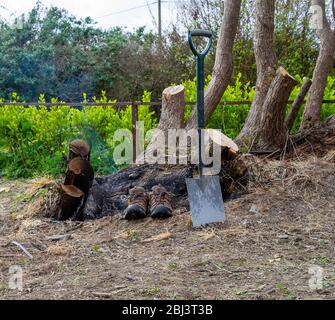 Gartenspaten oder Schaufel mit ein paar Schuhen neben einem ausgebrannten Baumstumpf. Stockfoto