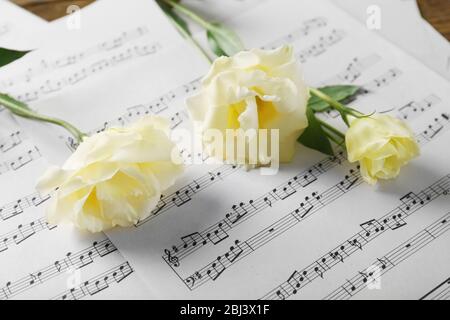 Schöne weiße Rosen auf Noten Seiten Hintergrund Stockfoto
