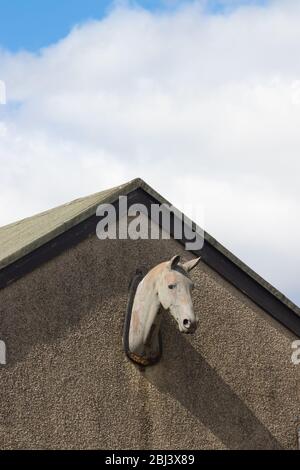 Eine Büste eines Pferdes steht auf einem Gebäude in Fife, Schottland. Stockfoto