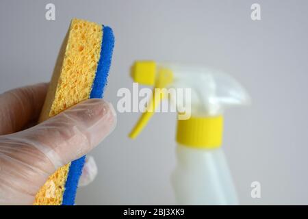 Schwamm in Handschuhen, mit Sprühflasche im Hintergrund. Selektiver Fokus. Stockfoto