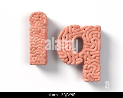 iq workd in aus menschlichem Gehirn. Geeignet für Gehirn, Biologie, Medizin, Wissenschaft und Schrift Themen. 3D-Darstellung Stockfoto