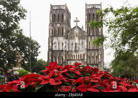 Hanoi St. Joseph's Cathedral - neugotische Kirche St. Joseph in Hanoi, Vietnam. Stockfoto
