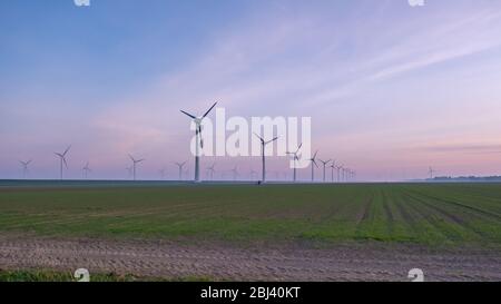 Windmühlenhof mit bunten Tulpenfeldern in den Noordoostpolder niederlande, Green Energy Windmühlenanlage auf See und Land Stockfoto