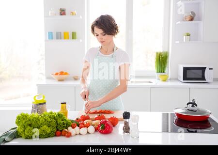 Foto von Hausfrau attraktiv konzentrierte Chef Dame Arme halten Tomaten Schneiden Messer Scheiben genießen Sie morgens Kochen lecker lecker Abendessen tragen Schürze stehen Stockfoto