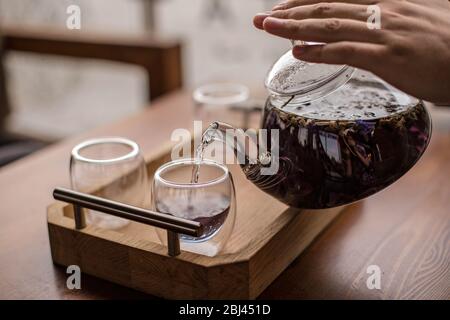 Der violette florale Kräutertee wird vom Brauer in die Tasse gegossen. Stockfoto