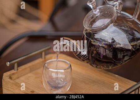 Der violette florale Kräutertee wird vom Brauer in die Tasse gegossen. Stockfoto