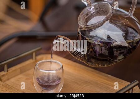 Der violette florale Kräutertee wird vom Brauer in die Tasse gegossen. Stockfoto