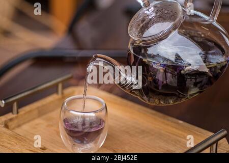 Der violette florale Kräutertee wird vom Brauer in die Tasse gegossen. Stockfoto