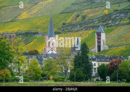 Mittelrhein landschaftlich reizvolle Kreuzfahrt- Riverside Stadthäuser und Häuser, Bacharach, Rheinland-Pfalz, Deutschland Stockfoto