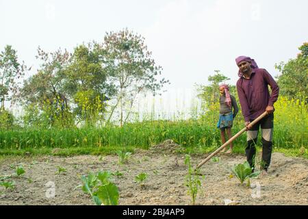 indische Landwirt, der landwirtschaftliche Arbeit, Indien Stockfoto