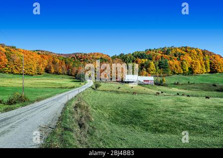 Idyllischer Herbsthof in Reading in Vermont. Stockfoto