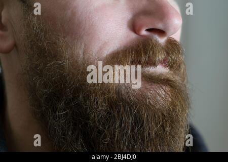 Foto eines dicken Bartes eines erwachsenen weißen männlichen Nahaufnahme Stockfoto