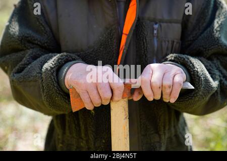 Nahaufnahme der Hände eines alten Mannes (85 Jahre) mit einer Hacke, Karlovy Vary, Tschechische Republik Stockfoto