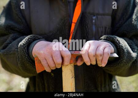 Nahaufnahme der Hände eines alten Mannes (85 Jahre) mit einer Hacke, Karlovy Vary, Tschechische Republik Stockfoto