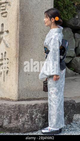 Eine Japanerin, die traditionellen Kimono trägt und die große buddha-Statue in Kamakura, Japan, besucht Stockfoto