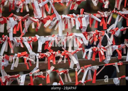 Omikuji, japanische Wahrsagerpapierstreifen, die im Wind am Enoshima Shrine, Japan, hängen Stockfoto