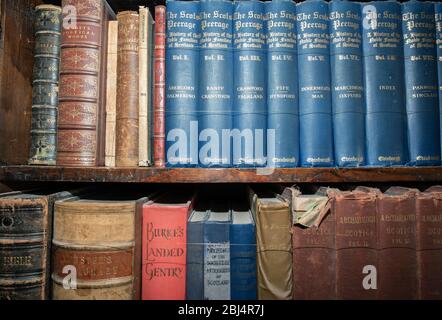 Antiquitätenbücher auf Regal Library UK Stockfoto